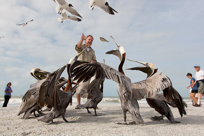 Reportage Seabird Sanctury